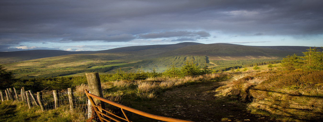 The Land of Wicklow, co. Wicklow, IR, June 2015.